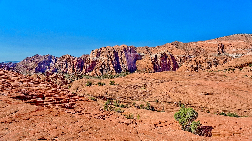 The Red Mountains rising behind the petrified sand dunes at Snow Canyon State Park, Southern Utah, United States of America, North America. Many famous films were made in the park which forms part of the Red Cliffs Desert Reserve.