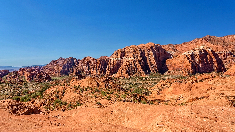 The Red Mountains rising behind the petrified sand dunes at Snow Canyon State Park, Southern Utah, United States of America, North America. Many famous films were made in the park which forms part of the Red Cliffs Desert Reserve.