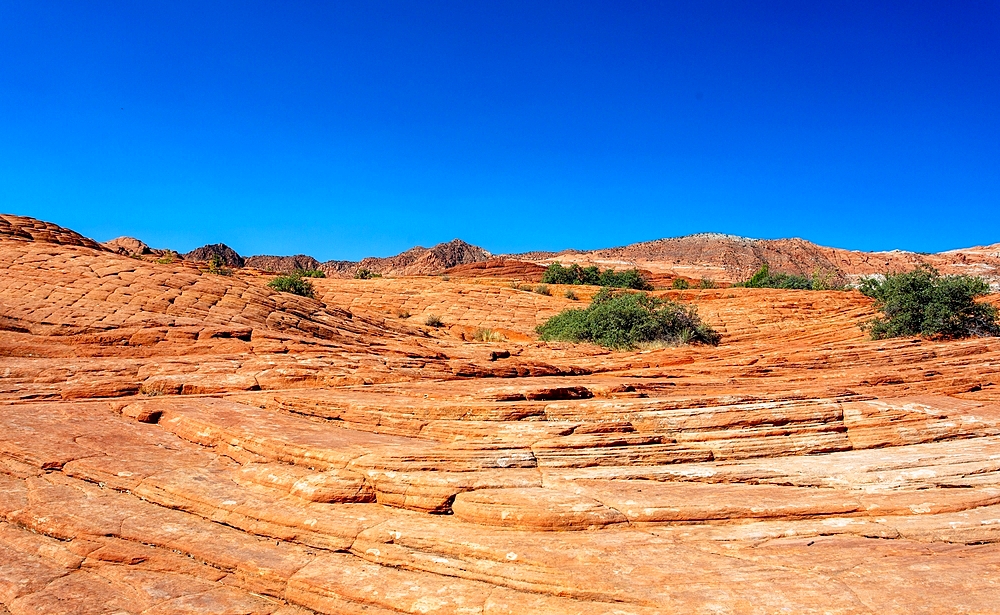 Petrified sand dunes at the White Canyon State Park near St George in Southern Utah. The park opened in 1962 and is located in the Red Cliffs Desert Reserve.