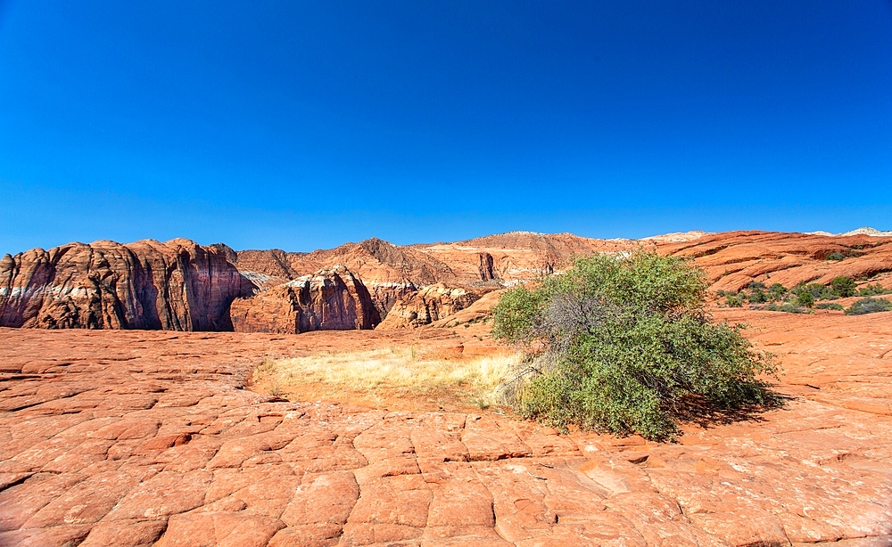 Petrified sand dunes, White Canyon State Park, Red Cliffs Desert Reserve near St. George, Utah, United States of America