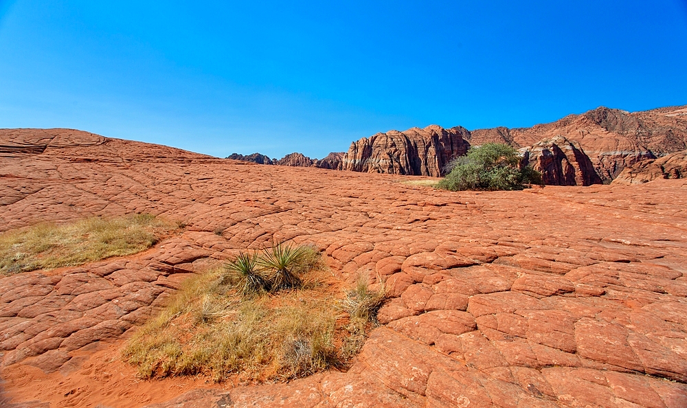 Petrified sand dunes at the White Canyon State Park near St George in Southern Utah. The park opened in 1962 and is located in the Red Cliffs Desert Reserve.