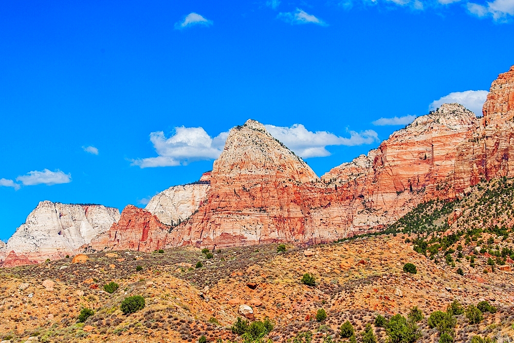 Watchman Mountain, near Springdale, Utah, USA rising over the nearby Zion National Park. The sandstone mountain is 6,545 feet high.