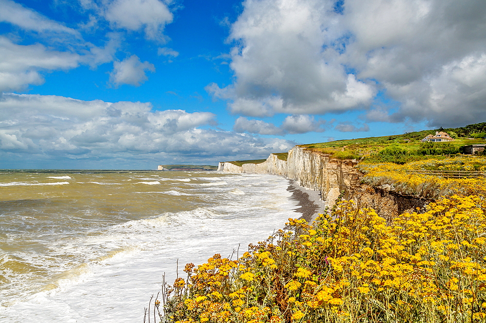 The Seven Sisters chalk cliffs in East Sussex, England, UK, seen from Birling Gap. Part of the South Downs National Park and the National Trust, it is one of the longest areas of undeveloped coastline in southern England.