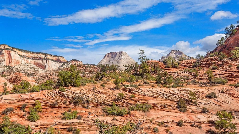 Checkerboard Mesa, a sandstone peak standing 900 feet high, in Kane County, Zion National Park, Utah, United States of America, North America.