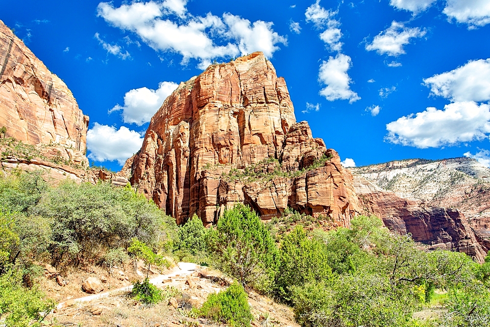 Angel's Landing, Zion National Park, Utah, USA. A 1,500ft high rock formation. The climb to the top is the most popular and demanding in the park and has taken 18 lives over the years.