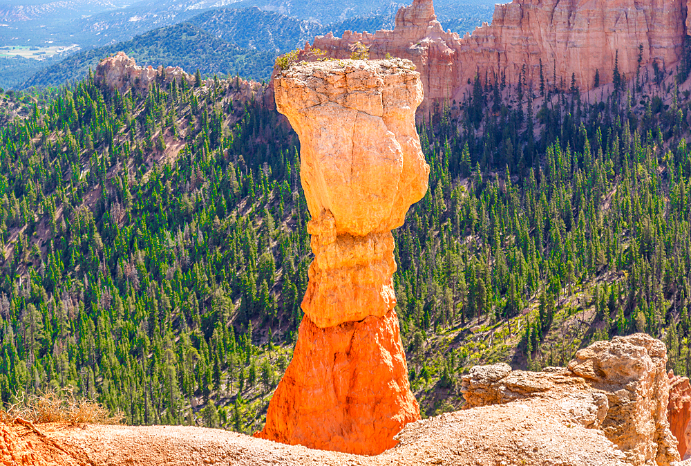 Hoodoo known as The Hunter at Agua Canyon, Bryce Canyon National Park, Utah, USA. Hoodoos are rock formations, shaped by wind, weather and erosion.