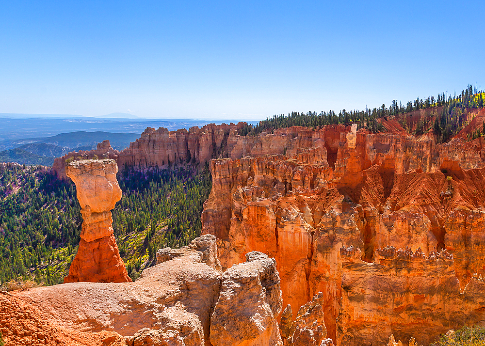 The famous Hunter and Rabbit Hoodoos at Agua Canyon, Bryce Canyon National Park, Utah. The Hunter is on the left and the Rabbit the lighter coloured rock on the right. Hoodoos are pinnacles of rock shaped by wind, rain and erosion.