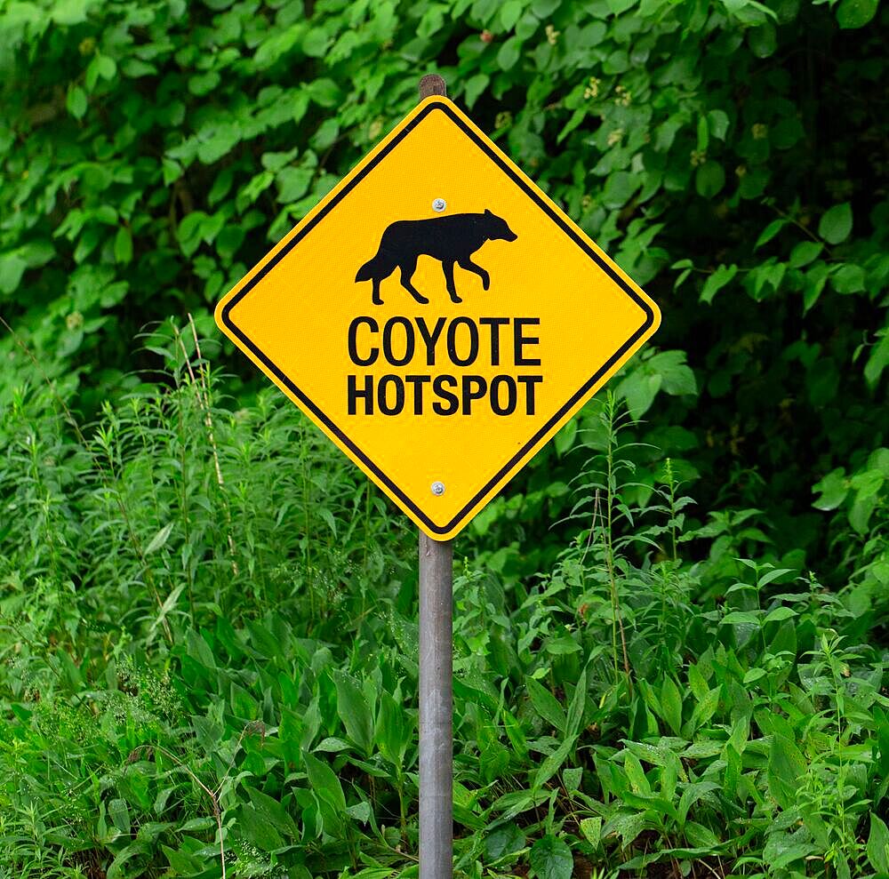 Coyote Hotspot warning sign, High Park, Toronto, Ontario, Canada