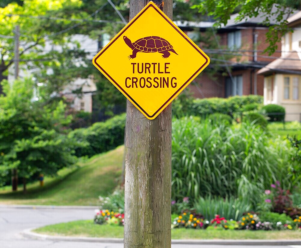 Turtle Crossing sign just outside High Park, Toronto, Ontario, Canada. Turtles are common in the park and sometimes beyond it.