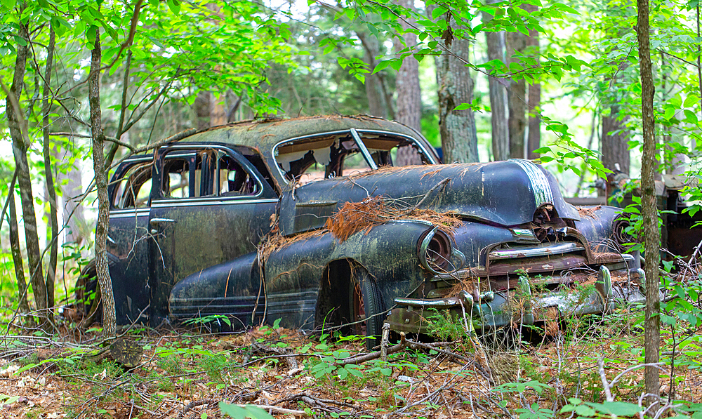 Remains of a 1947 Pontiac Torpedo Silver Streak car on Francis Island, Georgian Bay, Ontario, Canada. The island has no roads.