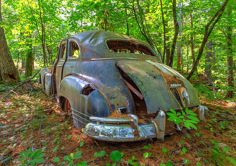 Remains of a 1947 Pontiac Torpedo Silver Streak car on Francis Island, Georgian Bay, Ontario, Canada. The island has no roads.