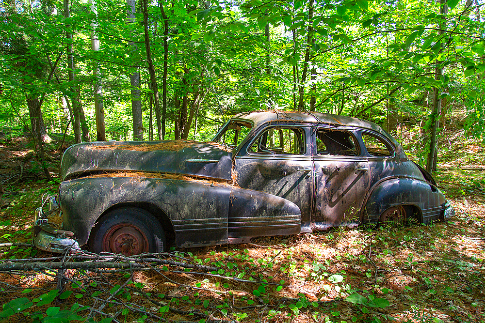 Remains of a 1947 Pontiac Torpedo Silver Streak car on Francis Island, Georgian Bay, Ontario, Canada. The island has no roads.