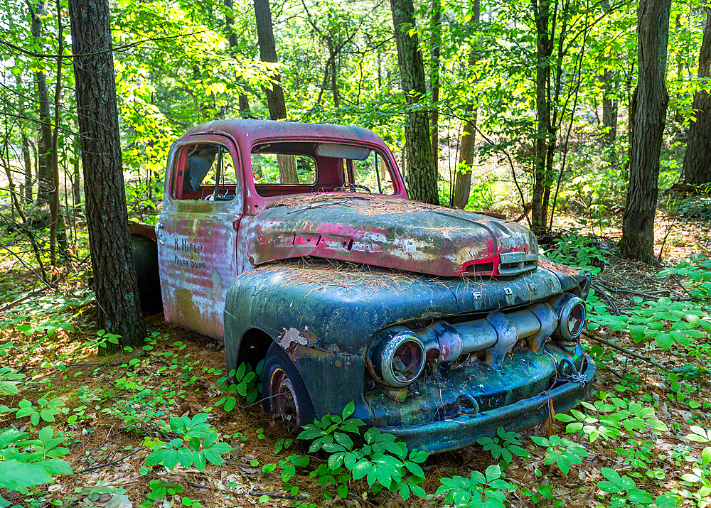 Remains of a 1940s Ford F series pickup truck on Francis Island, Georgian Bay, Ontario, Canada. The island has no roads.