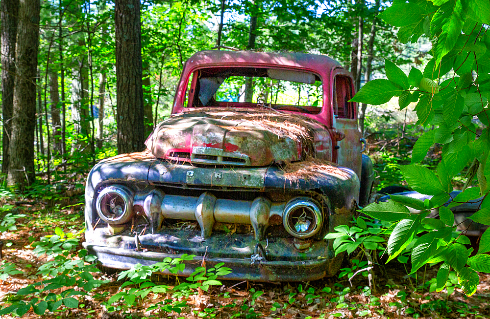 Remains of a 1940s Ford F series pickup truck on Francis Island, Georgian Bay, Ontario, Canada. The island has no roads.