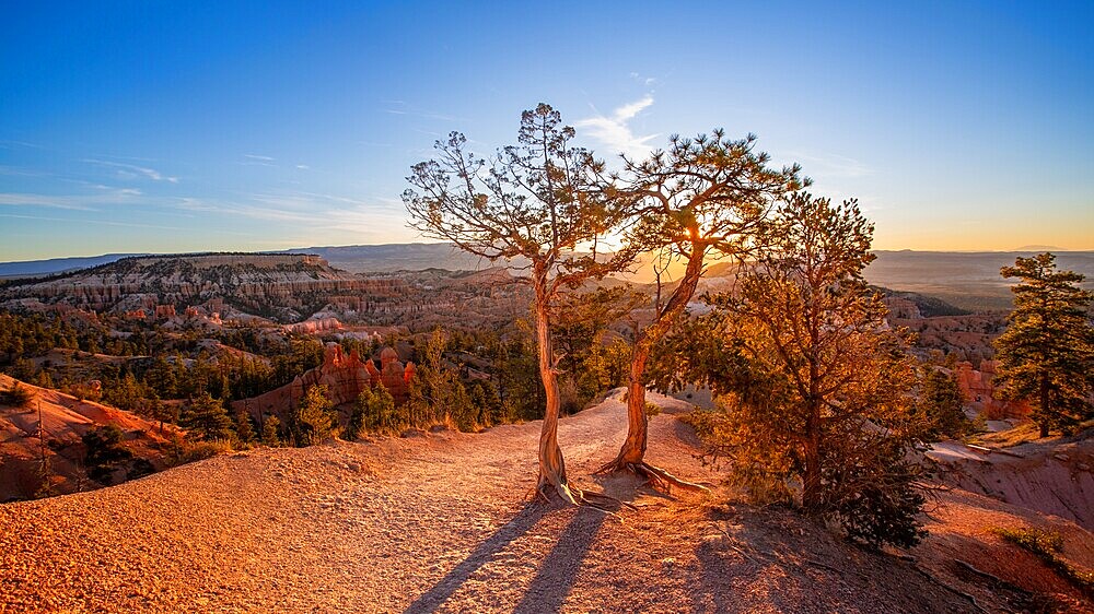 Sunrise at Sunrise Point, Bryce Canyon National Park, Utah, USA. At a height of 8,100 feet it overlooks the natural Bryce Amphitheatre.