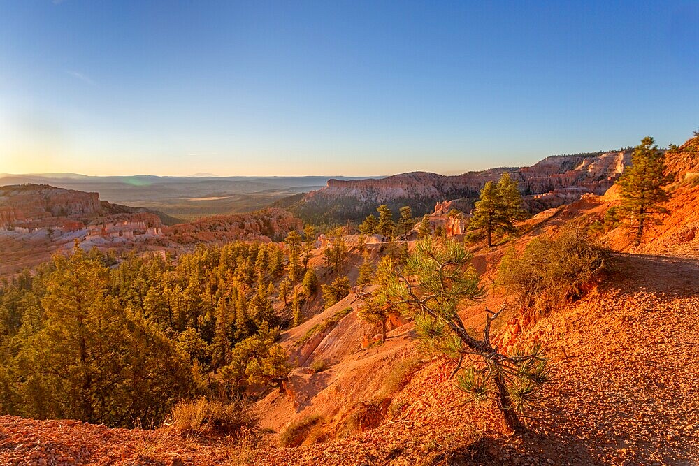 Sunrise at Sunrise Point, Bryce Canyon National Park, Utah, USA. One of four viewpoints that overlook the natural Bryce Amphitheatre. It provides a good view of the famous hoodoos or pinnacles of rock formed by weathering.