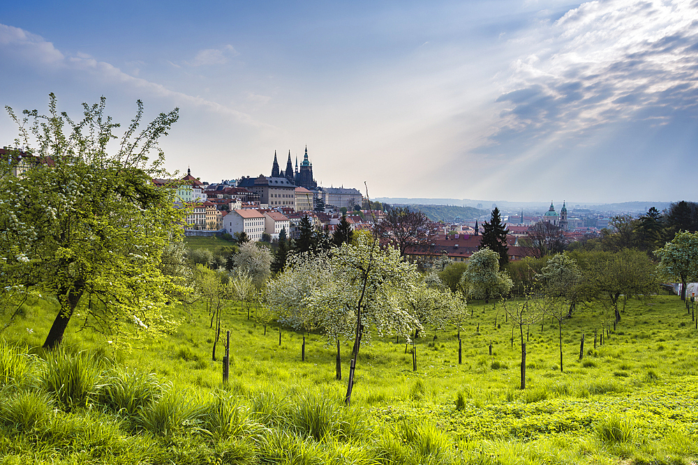 Prague Castle and gardens of Petrin Hill, Prague, Czech Republic (Czechia), Europe