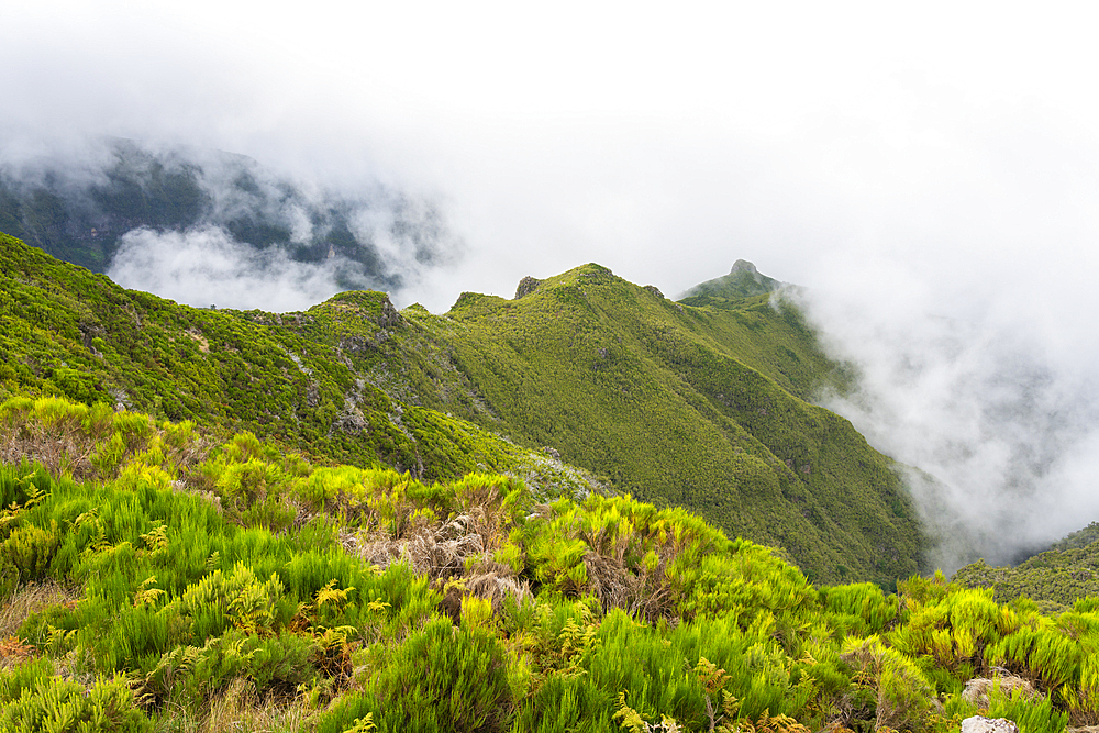 Mountains covered in fog along the walking trail to Pico Ruivo, Santana, Madeira, Portugal, Atlantic, Europe