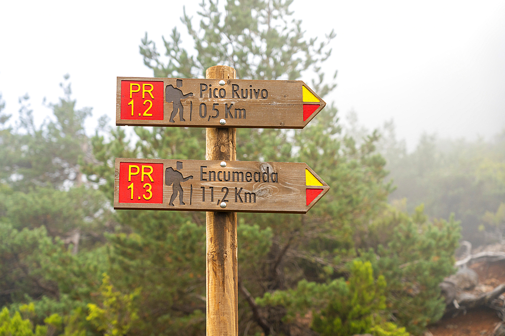 Trail signs showing directions to Pico Ruivo and Encumeada, Santana, Madeira, Portugal, Atlantic, Europe