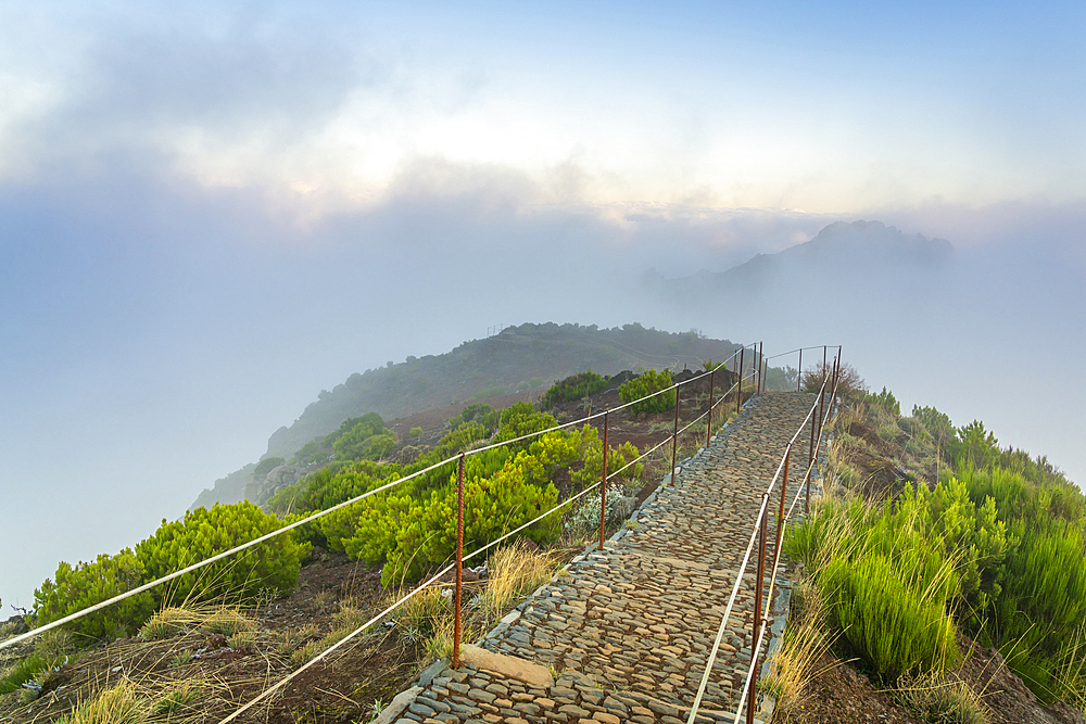 Trail on top of Pico Ruivo mountain, Santana, Madeira, Portugal, Atlantic, Europe