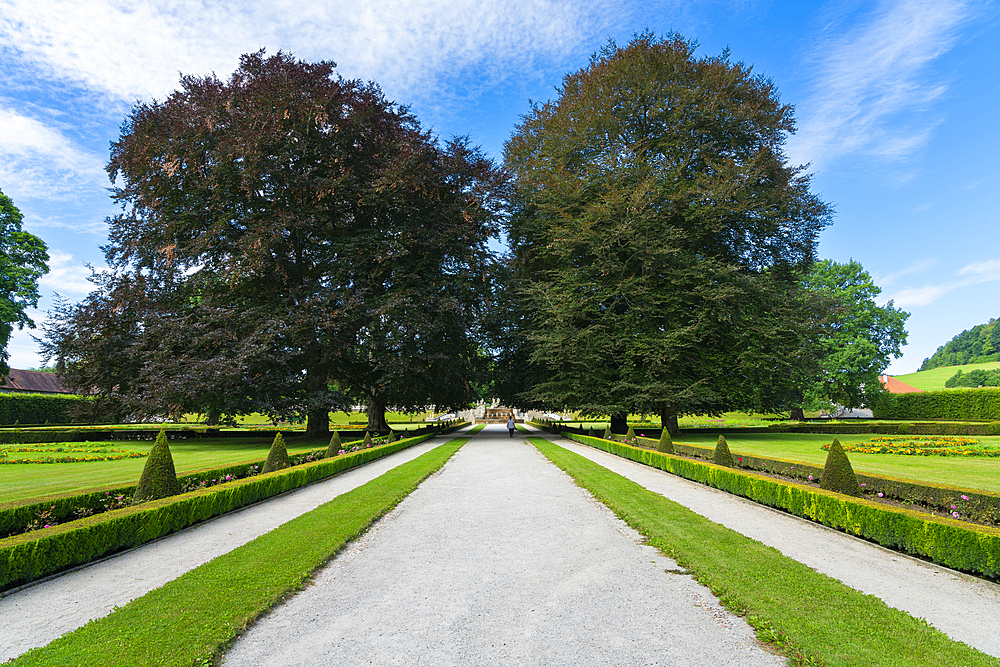 Trees in Zamecky Park (The Castle Garden), Cesky Krumlov, South Bohemian Region, Czech Republic (Czechia), Europe