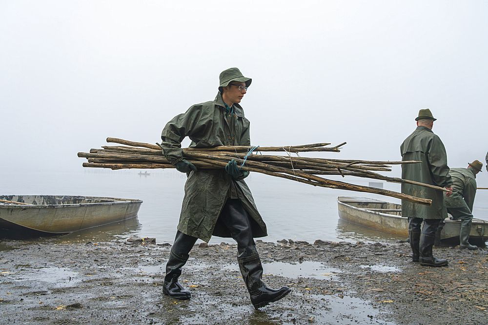 Fisherman carrying sticks for fish harvest on shore of Rozmberk Pond on foggy morning, Rozmberk Pond, UNESCO Biosphere, Trebon, Jindrichuv Hradec District, South Bohemian Region, Czech Republic (Czechia), Europe