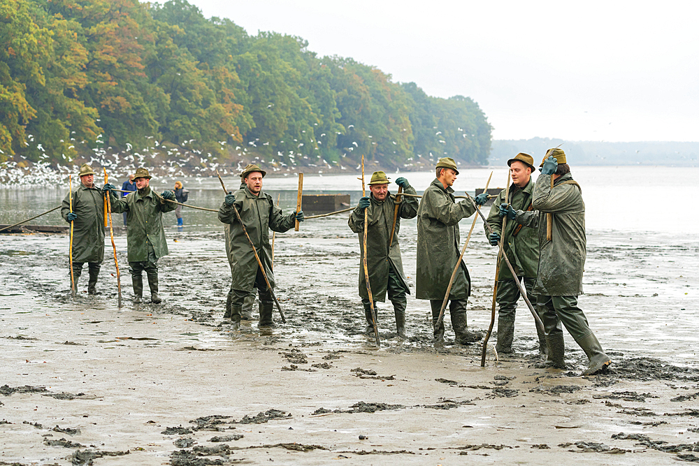 Fishermen standing in row ready to start pulling rope during fish harvest, Rozmberk Pond, UNESCO Biosphere, Trebon, Jindrichuv Hradec District, South Bohemian Region, Czech Republic (Czechia), Europe