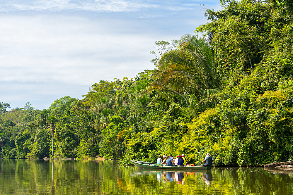 Tourists on excursion over Lake Sandoval against green trees, Tambopata National Reserve, Puerto Maldonado, Madre de Dios, Peru, South America