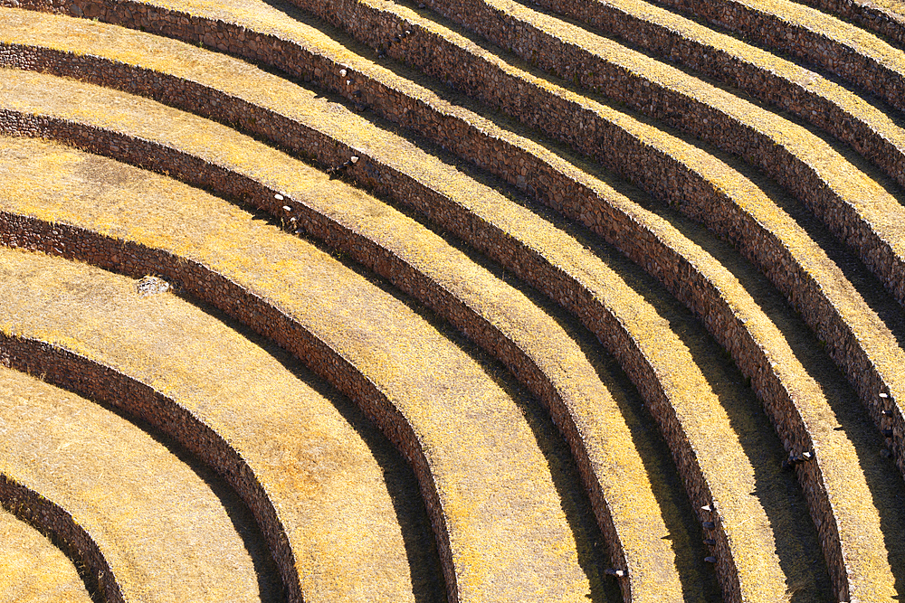 Abstract of terraces in Moray, Sacred Valley, Urubamba Province, Cusco (Cuzco) Region, Peru, South America