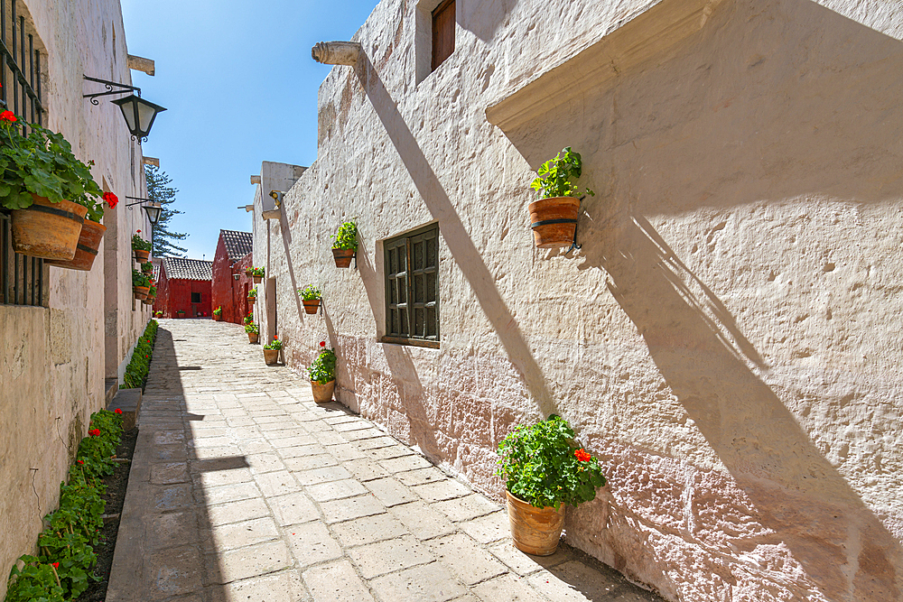 Walkway at Monastery of Santa Catalina de Siena, UNESCO World Heritage Site, Arequipa, Arequipa Province, Arequipa Region, Peru, South America