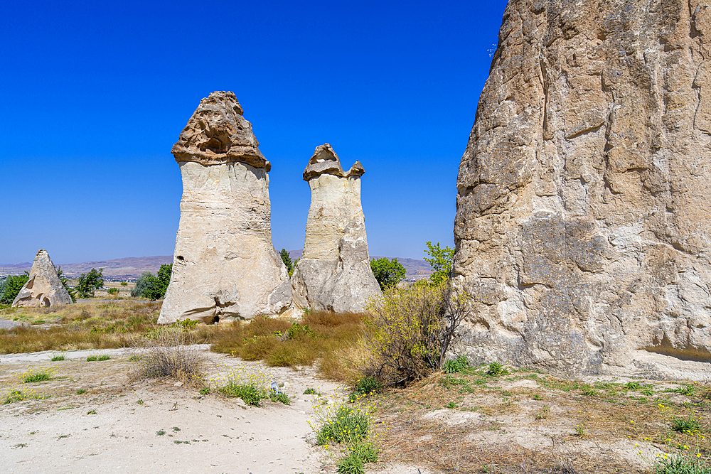 Fairy chimney rock formations, Pasabag Valley, Cavusin, Cappadocia, Anatolia, Turkey, Asia Minor, Asia