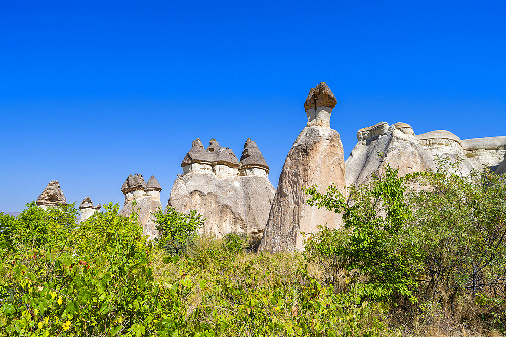 Fairy chimney rock formations, Pasabag Valley, Cavusin, Cappadocia, Anatolia, Turkey, Asia Minor, Asia