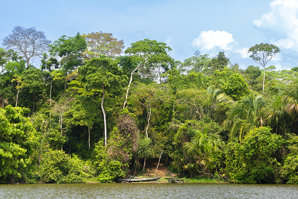 Lake Sandoval, Tambopata National Reserve, Puerto Maldonado, Madre de Dios, Peru, South America