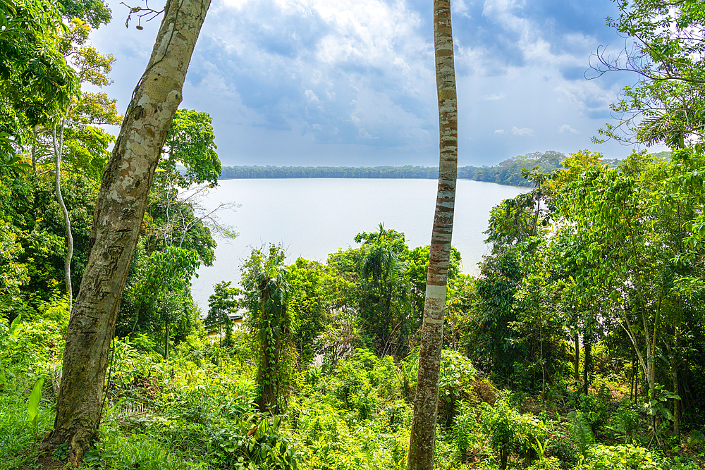 Lake Sandoval, Tambopata National Reserve, Puerto Maldonado, Madre de Dios, Peru