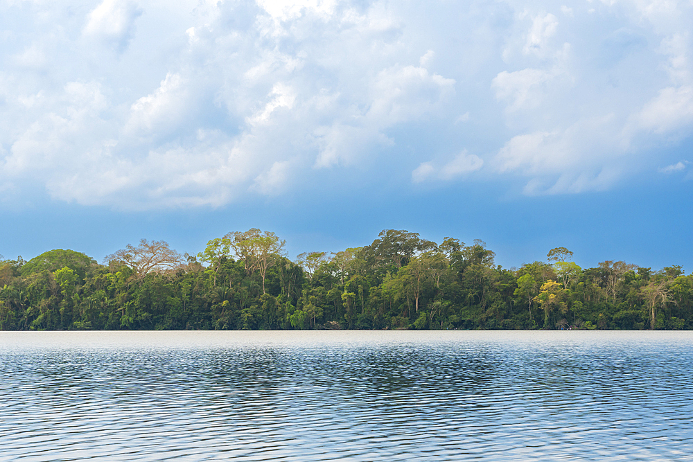 Lake Sandoval, Tambopata National Reserve, Puerto Maldonado, Madre de Dios, Peru