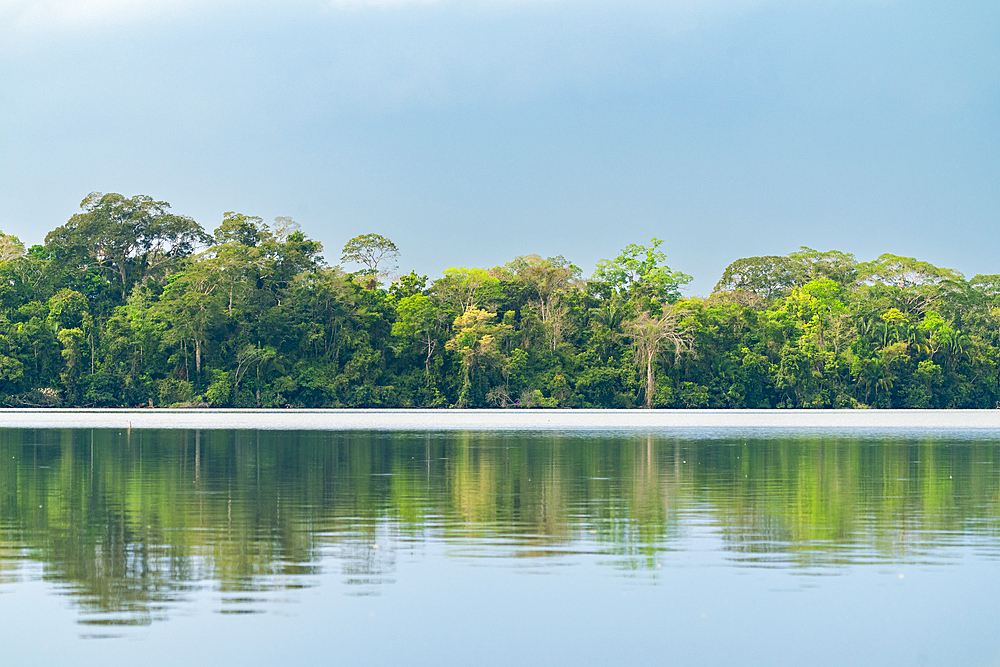 Lake Sandoval, Tambopata National Reserve, Puerto Maldonado, Madre de Dios, Peru, South America