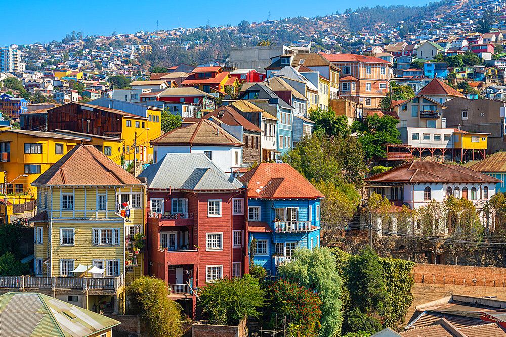 Colorful houses in town on sunny day, Cerro San Juan de Dios, Valparaiso, Chile