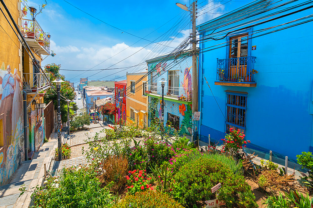 Colorful houses of Templeman staircase, UNESCO, Cerro Alegre, Valparaiso, Chile