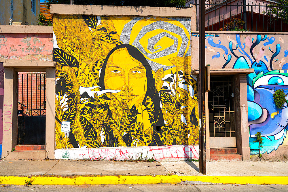 Painted mural of residential house on Avenida Alemania, Cerro Alegre, Valparaiso, Chile