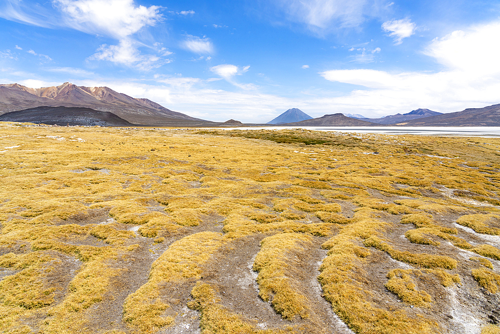 El Misti and Chachani volcanoes seen from salt flats of Salinas y Aguada Blanca National Reserve, Arequipa Region, Peru