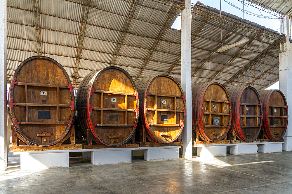 Large wooden aging casks for wine, Tacama Winery, Ica, Peru