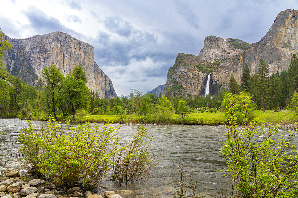 Merced River at Valley View, Yosemite National Park, Sierra Nevada, Central California, California, USA