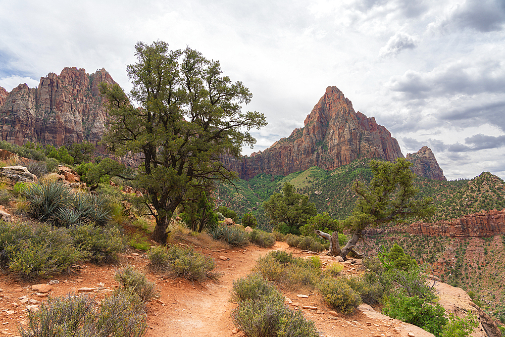 Watchman mountain, Watchman trail, Zion National Park, Utah, USA