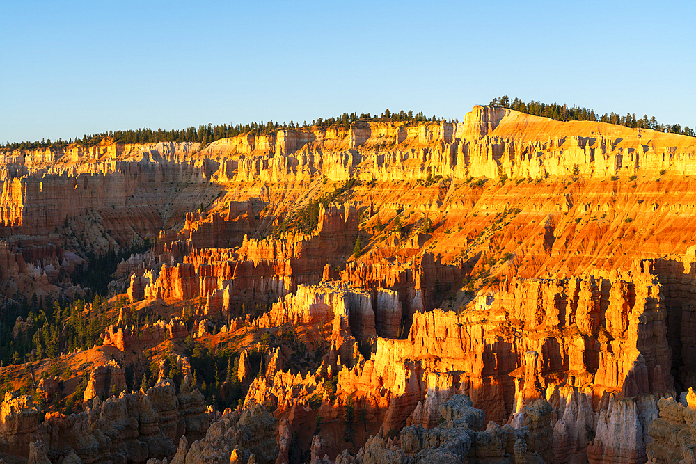 Hoodoos in Bryce Canyon amphitheater at sunrise, Sunset Point, Bryce Canyon National Park, Utah, United States of America, North America