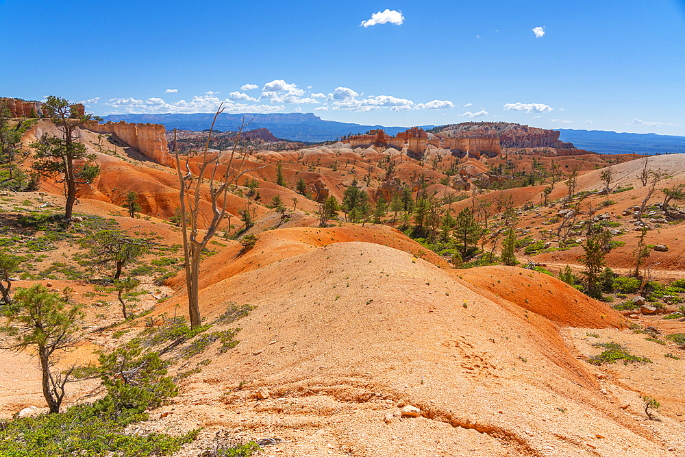 Scenic view of rock formations from Queens Garden Trail, Bryce Canyon National Park, Utah, United States of America, North America