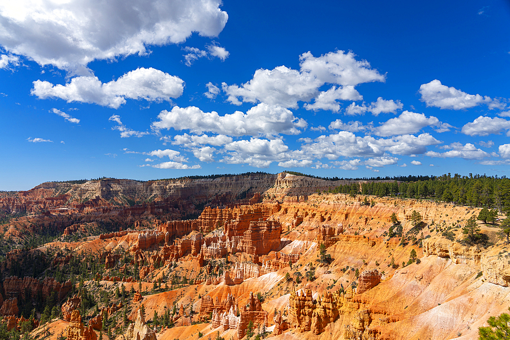 Scenic view of hoodoos and rock formations, Sunrise Point, Bryce Canyon National Park, Utah, United States of America, North America