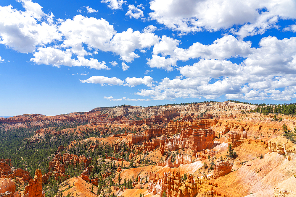 Scenic view of hoodoos and rock formations, Rim Trail near Sunrise Point, Bryce Canyon National Park, Utah, USA