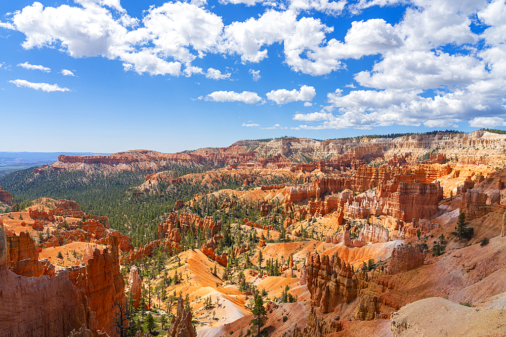 Scenic view of hoodoos and rock formations, Rim Trail near Sunrise Point, Bryce Canyon National Park, Utah, USA