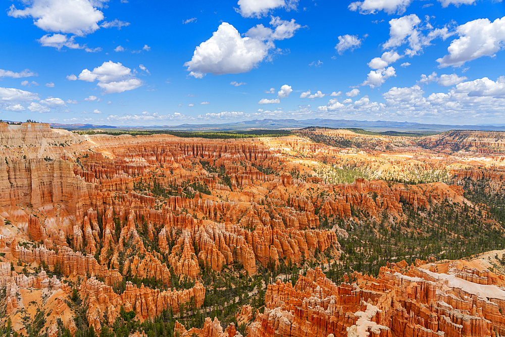 Bryce Canyon amphitheater, Bryce Point, Bryce Canyon National Park, Utah, USA