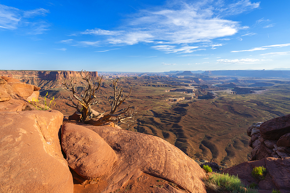 Green River Overlook, Canyonlands National Park, Utah, United States of America, North America